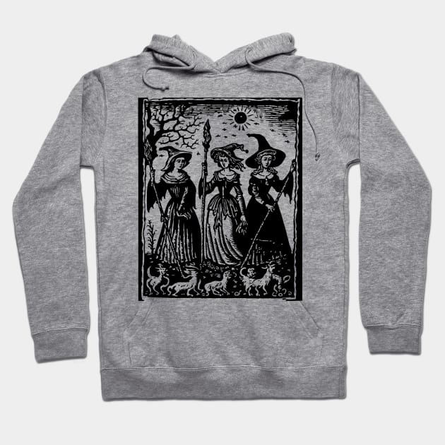 Medieval Witches #1 Hoodie by n23tees